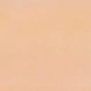 SNS Gelous Color - NC12 - Nude Series