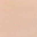 SNS Gelous Color - NC19 - Nude Series