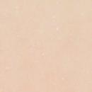 SNS Gelous Color - NUDE IN SPRING - NOS 13 - Fake Bake