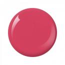 Nitro Collection 2oz - #014