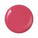 Nitro Collection 2oz - #021