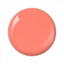 Nitro Collection 2oz - #029