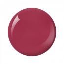 Nitro Collection 2oz - #030