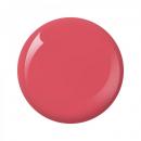 Nitro Collection 2oz - #036