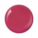 Nitro Collection 2oz - #077