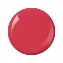 Nitro Collection 2oz - #086