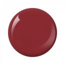 Nitro Collection 2oz - #119