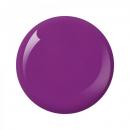 Nitro Collection 2oz - #130