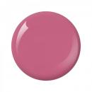 Nitro Collection 2oz - #146