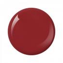 Nitro Collection 2oz - #174