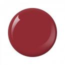 Nitro Collection 2oz - #237