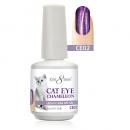 CRE8TION GEL CAT EYE - CE2