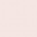 Nugenesis Dipping Powder - NU141 Desert Sand 2oz