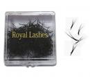 Royal Lashes - Medium - 1000 pcs ( 4 hairs )