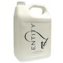 Entity Nail Liquid Success - Slow Dry 128 Oz