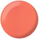 DND DC - # 275 SANDCASTLES