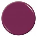 EDS DUO  #243 VIOLET RED
