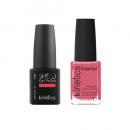 Kinetics Duo - Secret-Deal #361