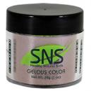 SNS Gelous Color - HC15 - Holiday Collection