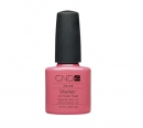 CND Shellac
